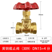 埃美柯AM埃美柯309黄铜截止阀家用自来水开关总闸阀蒸汽高温暖气开关阀 4分=DN15=1/2（四氟高温垫）