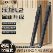 乐旭（LeXu）新款乐旭L2电吹管乐器大全中老年笛子高档萨克斯吹管国产乐器入门 L2电吹管标配+2个备用吹嘴套