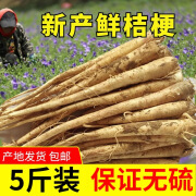 东北新产鲜桔梗5斤包邮二三年生农家现挖无硫狗宝咸菜道拉基泡菜