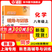 2024新思路辅导与训练八年级上 化学 8年级上册/第一学期 上海版 新教材版 上海科学技术出版社