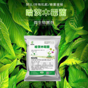 亦强生物（YIQIANGSHENGWU） 10亿哈茨木霉菌微生物菌剂霜霉灰霉白粉