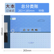莱特 RIGHT总分类账账本账簿财务用品大本小本银行存款日记账现金日记账办公财务会计用品 总分类账（ 总分类账（大本-订本）6101