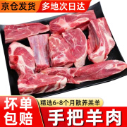 柒岛内蒙古手把肉草原散养羔手抓羊肉新鲜原切羊排羊腿生鲜白灼羊肉 手把肉5斤