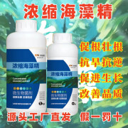 康力普 CONLEYPU NUTRITION康力普康力普浓缩海藻精生根养根壮棵促生长 500g海藻精*1瓶