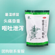 逢春 藿香正气颗粒 10g*20袋 暑湿头痛身重胸闷，恶寒发热，脘腹胀痛呕吐泄泻 1包装