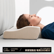 佳奥枕芯 蝶形慢回弹记忆枕 成人颈椎睡眠枕头竹炭磁布 高枕