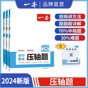 一本【数学压轴题】初中必备压轴题 一题多解带视频讲解全国通用 初中数学压轴题【人教版】 七年级