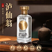 泸仙翁泸州泸仙翁52度500ml纯粮食固态法白酒礼盒酒 42%vol 500mL 1盒