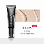 极密SKIN MATCH防晒遮瑕裸妆BB霜保湿持提亮强隔离补妆粉底液 自然色 小麦色 45g 45g