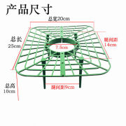 圣比莱草莓支架阳台盆栽种植水果绿植托盘支架防腐烂园艺固定拼接支撑架 方形草莓架1个 默认1