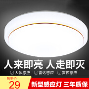 雷雷智光  声控灯led人体红外感应灯雷达吸顶灯家用楼梯走廊楼道卫生间过 金线21cm-声光控12瓦感应灯