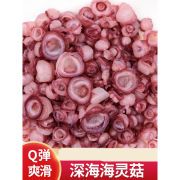 泰北香延边啤酒菜辣炒海灵菇400g下饭熟食章鱼足新鲜冷冻鱿鱼海鲜海灵姑 海鲜海灵姑