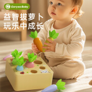 高丽宝贝（Goryeo baby）拔萝卜玩具儿童拼插早教学习锻炼3-6周岁蒙氏彩色萝卜 七彩拔萝卜