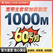 佛山电信主套餐加装副宽带300M/1000M 【1000M】适用于199/2290主套餐 千兆光猫