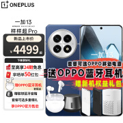 OPPO 一加13 高通骁龙®8至尊版 6000mAh 冰川电池  AI智能游戏手机 旗舰影像性能手机 5G全网通手机 蓝调时刻 16GB+512GB 白条丨24期丨免息