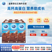 子母（DUTCH LADY）港版子母朱古力牛奶饮品225ml*6盒