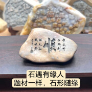 个个熊办公室桌石刻字摆茶桌摆件一致泥题材新疆石型随机盆景石材T 顺5-10公分