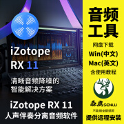 iZotope RX11 RX10人声伴奏分离降噪软件音频修复插件Win中文/Mac