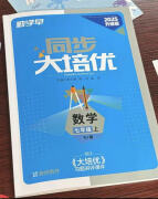 2024新版勤学早大培优七年级数学上册人教版RJ 勤学早大培优初中初一7年级上册 学生用书（人教版）勤学早七上大培优（送答案） 2025大培优 七上数学 初中通用