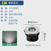 led嵌入式地埋灯户外防水地灯室外广场花园草坪庭院地面射灯 1W正白光  面经65MM