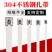 铁赛（TIESAI）304不锈钢扎带耐高温电缆桥架绑扎带4.6宽自锁式金属扎带bbb 长度10厘米100根 宽度4.6MM