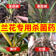 瀚森沃禾 恶霉灵杀菌剂兰草土壤消毒多肉烂根黑腐病黑斑病兰花根腐病专用药 30g