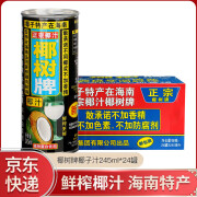 椰树牌椰汁 蛋白质饮料 海南椰子汁早餐椰奶 年货节过年送礼送长辈 245ml*24罐/箱