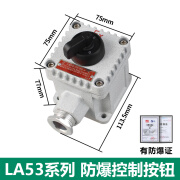 鹏艾鑫防爆照明开关二三四联旋钮SW10消防控制防水防尘铝合金220V 380 一旋钮(两档)