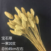 爱满（AIMAN） 天然麦穗干花花束送人新店开业大麦礼物客厅田园装饰拍摄道具 宝石草20支