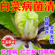 亮果白菜防腐包心剂甘蓝包菜软腐病霜霉病蔬菜病菌清专用防烂杀菌剂 1袋装[葡萄病害清]