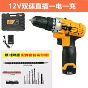 一博士锂电钻电动螺丝刀充电钻手电钻钻12V16V21V双速DIY家用 12V直插双速一电一充+配件