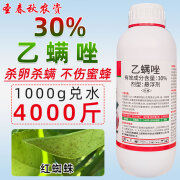 30%乙螨唑柑橘果树草莓月季杀红蜘蛛专用药锈壁虱杀卵螨剂己满挫 100g