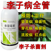 李子杀菌剂2%春雷霉素杀菌剂叶斑病角斑稻瘟病流胶病软腐细菌病害 100g（100g/1瓶）