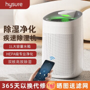 海说 hysure 除湿机空净家用卧室抽湿机wifi智能小型吸湿器0.35L/天 2-20㎡双核空净除湿机Q9 0.75L/天 2-20㎡