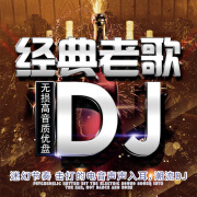 纽曼车载U盘歌曲经典老歌DJ劲爆舞曲汽车高音质音乐高品质MP3无损优盘 16G 经典老歌DJ优盘