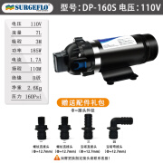 澳美尔DP-160高压力隔膜水泵12v24v小型电动净水喷雾器增加压路清洗车机 型号DP-160S 电压110V