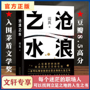 【正版】沧浪之水 阎真 经典官场小说 现当代小说 阎真 活着之上 岁月 正版书籍 新华书店 短篇长篇小说书籍排行榜