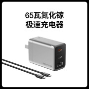 正浩ECOFLOW 氮化镓充电器 65W 快充 65W 氮化镓充电器