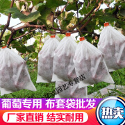 无纺布葡萄套袋水果果实防虫防水防雨桃子梨子羊角蜜防鸟果袋套袋 白色防水18cmX20cm(100只)