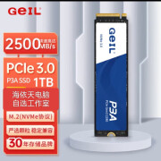 GEIL金邦1TB固态硬盘2TB固态SATA3 2.5吋/M.2NVMe还用机械硬盘吗 P3A  1TB NVME协议 m.2