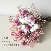 爱满（AIMAN） 玫瑰干花花束 ins北欧简约风复古客厅家居装饰摆件 永生棉花勿忘我520节日礼物 永生粉满天星+千日粉款花束 干花包