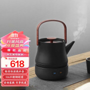 智蔚茶器童语热茶壶ZW-001煮茶器电热烧水壶 316不锈钢煮白茶轻音恒温壶家用茶具办公室节日礼物品 316不锈钢煮茶壶【黑色】 0.8L