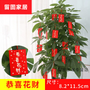 蕾迪熊（LEIDIXIONG）新年植物装饰红包挂件元旦室内布置办公室挂树上的小红包盆景挂件 恭喜花财(1包八个装)