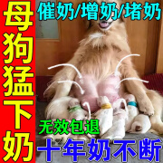 母狗产后营养品狗狗月子餐哺乳期追奶增奶催乳下奶食物狗狗下奶汤 1瓶 100ml