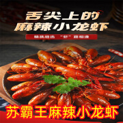 苏霸王麻辣小龙虾四盒装肉质鲜嫩Q弹鲜香加热即食预制菜解馋宵夜 麻辣味4盒共(2800g)