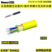 泛达（PANDUIT）美国泛达(Panduit）4/6/8/12/24芯OS2室内外单模万兆光纤光缆 1m 泛达2芯单模