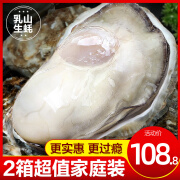 乳山生蚝鲜活10斤特大带箱新鲜海蛎子超大牡蛎海鲜水产批发5斤2箱 L(70g(含)-(不含)) 90g