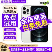 Apple iPhone 12ProMax 苹果12promax 全网通5G 二手手机 银色 99新靓机256G国行【更换电池100%+大礼包】