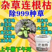 除草剂烂根除杂草环嗉酮除草剂三年不长草烂根除杂草不伤菜苗 一桶装