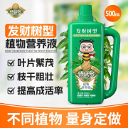 德沃多肥料发财树专用营养液花肥料氮磷钾肥园艺盆栽植物金钱树通用型液体肥 500ml*1瓶